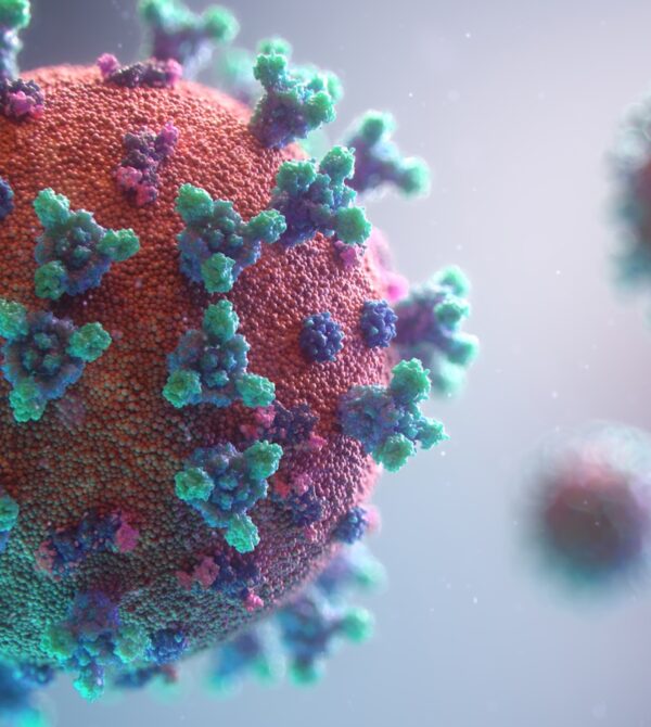 Visualization of the coronavirus causing COVID-19