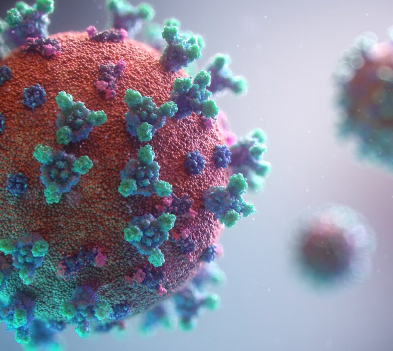 Visualization of the coronavirus causing COVID-19